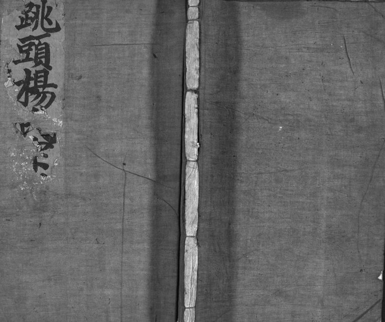 跳头杨氏宗谱[不分卷]1901年抄本 浙江乐清市杨氏电子版家谱下载