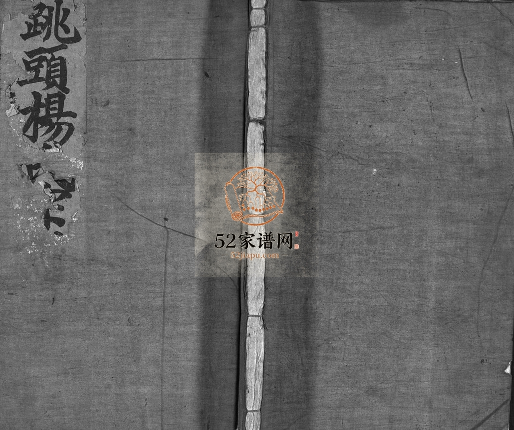 跳头杨氏宗谱[不分卷]1901年抄本 浙江乐清市杨氏电子版家谱下载