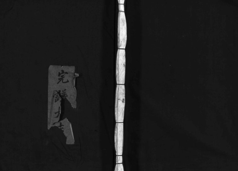 长山武氏宗谱[不分卷]1958年重修 浙江乐清/平阳武氏电子版家谱下载