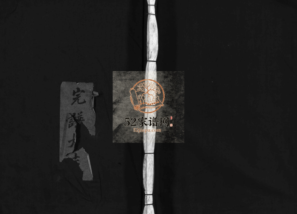 长山武氏宗谱[不分卷]1958年重修 浙江乐清/平阳武氏电子版家谱下载