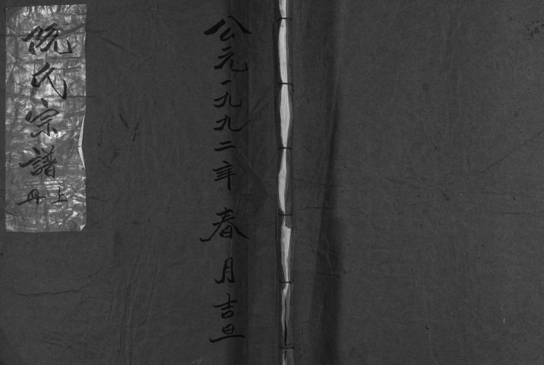 阮氏宗谱[不分卷]1990年重修 浙江乐清市阮氏电子版家谱下载