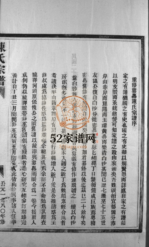 娄岙陈氏宗谱[4卷]1980年重修 浙江温州市乐清陈氏电子版家谱下载