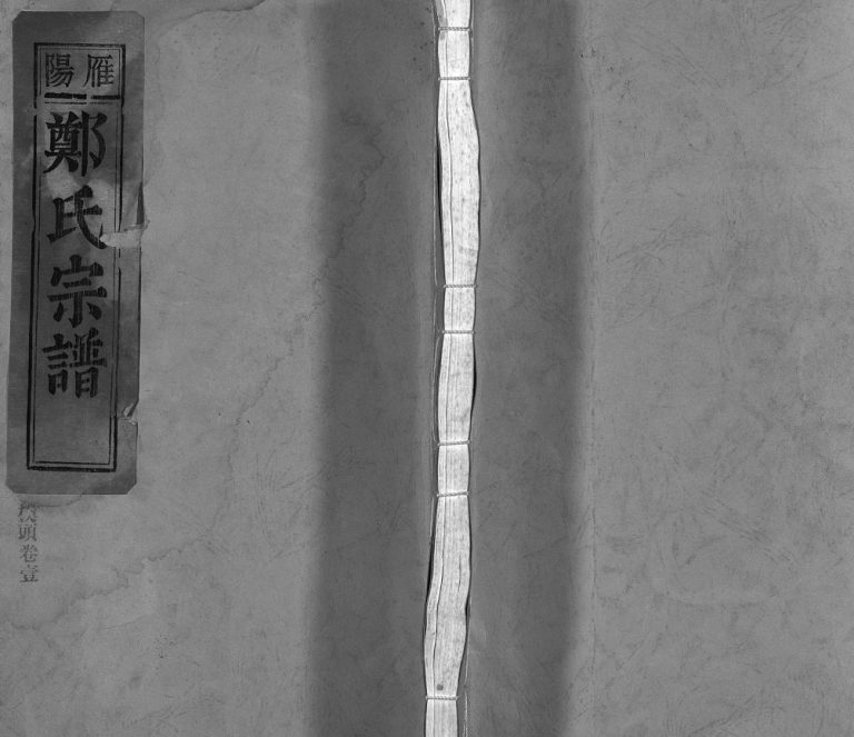 雁阳郑氏宗谱[7卷]2001年重修 浙江乐清郑氏电子版家谱下载