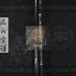 霓岙沈氏宗谱[卷数杂异]1999年 浙江黄岩/乐清沈氏电子版家谱下载