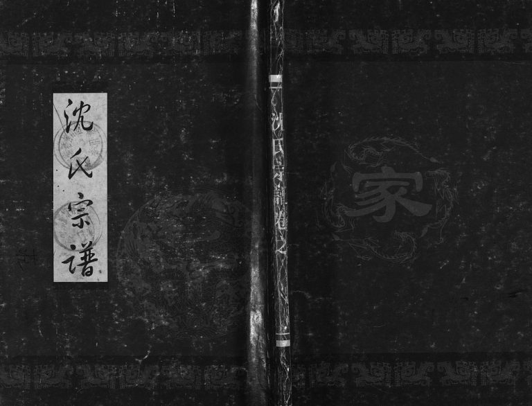 霓岙沈氏宗谱[卷数杂异]1999年 浙江黄岩/乐清沈氏电子版家谱下载