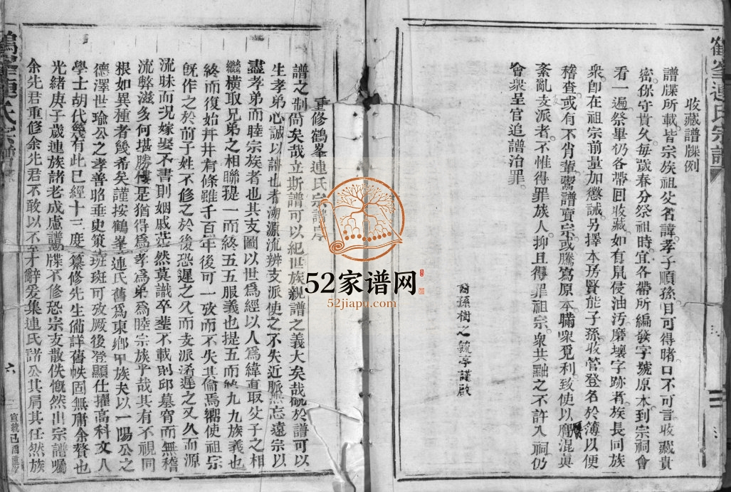 鹤峯连氏宗谱[不分卷]1918年重修 浙江乐清𡽬前连氏电子版家谱下载