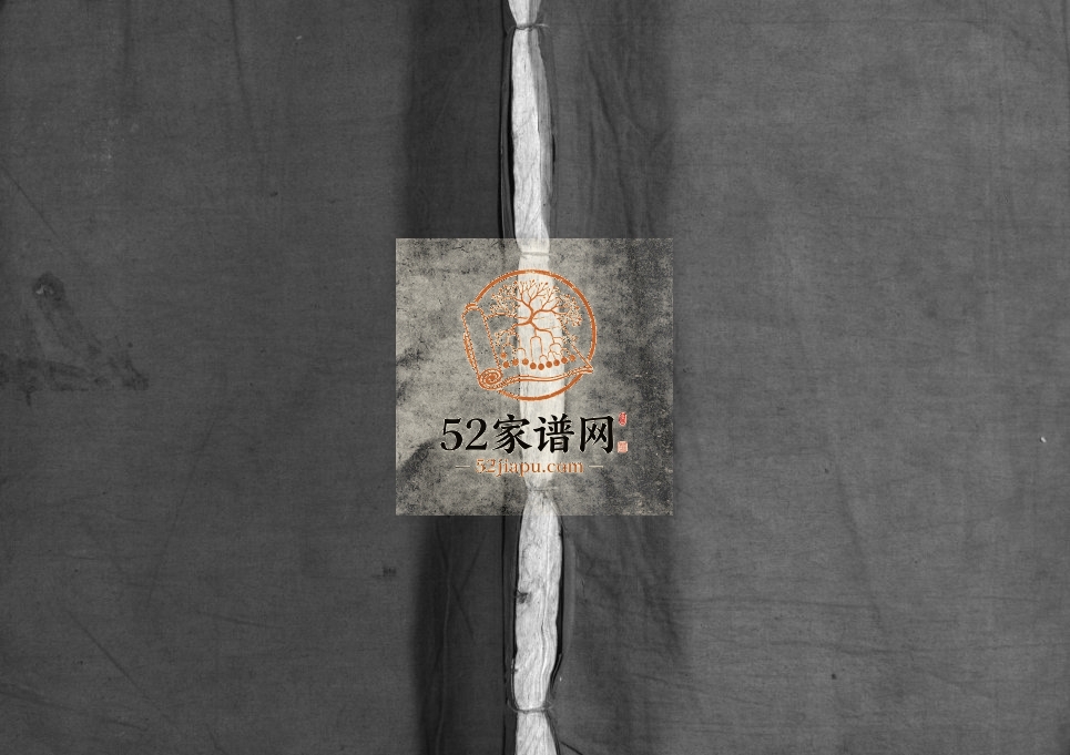 丽川陈氏宗谱[残卷]1915年重修 浙江乐清/温州陈氏电子版家谱下载