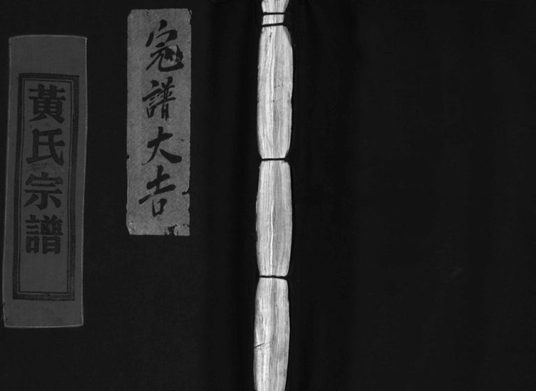 江夏郡蒲岐黄氏宗谱[不分卷]1981年重修 浙江乐清黄氏电子版家谱下载