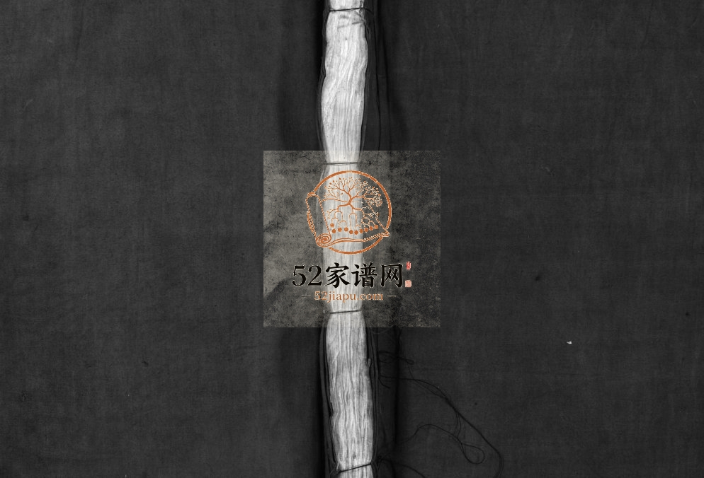 龙门金氏宗谱[不分卷]1917年重修 浙江乐清金氏电子版家谱下载