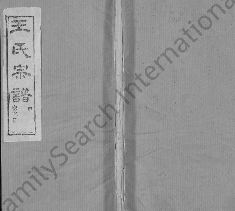 王氏宗谱[各房分卷,首5卷]1990年修 湖北黄冈槐荫堂王氏电子版家谱下载