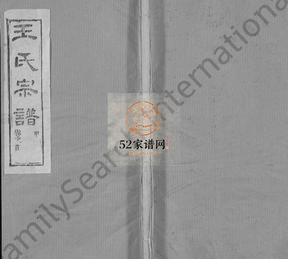 王氏宗谱[各房分卷,首5卷]1990年修 湖北黄冈槐荫堂王氏电子版家谱下载