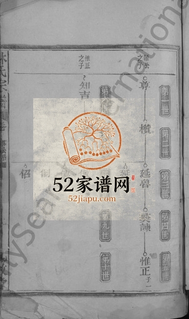 林氏宗谱[不分卷]1871年修 江西广丰九牧堂林氏电子版家谱下载