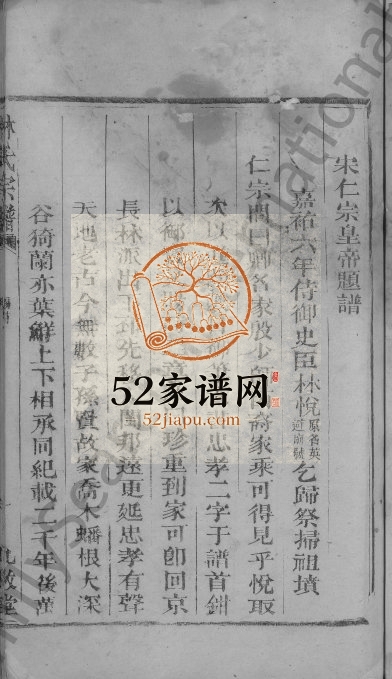 林氏宗谱[残卷]1906年重修 江西广丰九牧堂林氏电子版家谱下载