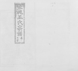 复社王氏族谱1917年修 江西上饶市广丰三槐堂王氏电子版家谱下载