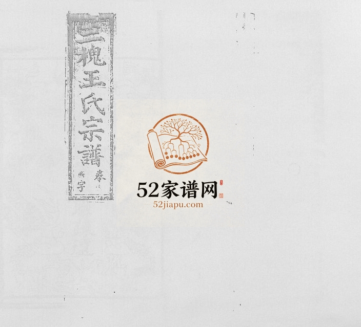 复社王氏族谱1917年修 江西上饶市广丰三槐堂王氏电子版家谱下载