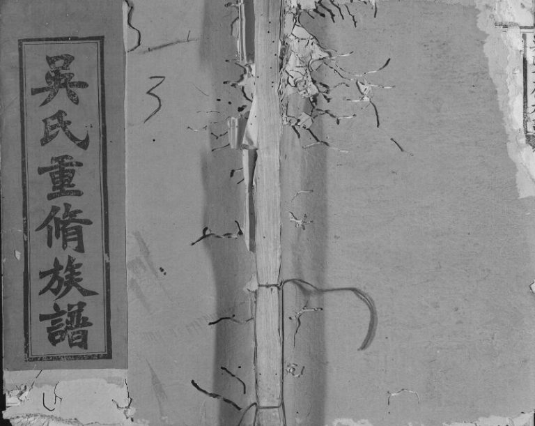 吴氏重修族谱1915年修 江西上饶市广丰吴氏电子版家谱下载