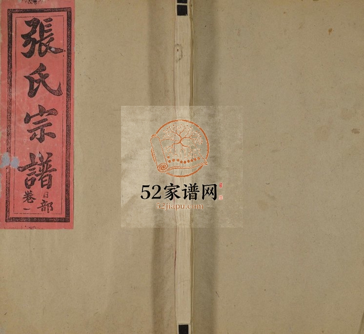 张氏宗谱[4卷]1947年修 江西广丰忠文堂张氏电子版家谱下载