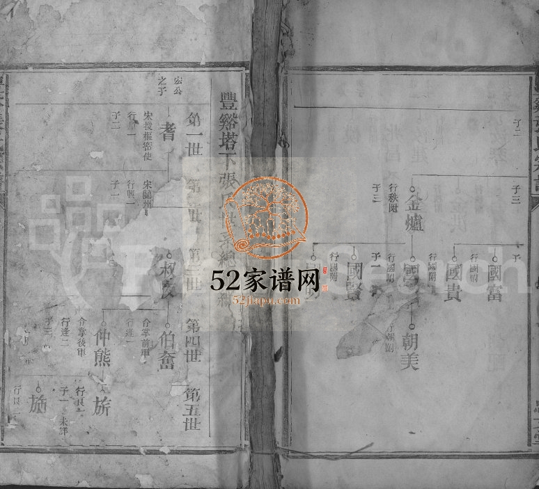 丰溪张氏宗谱[不分卷]1910年修 江西广丰忠文堂张氏电子版家谱下载（2）
