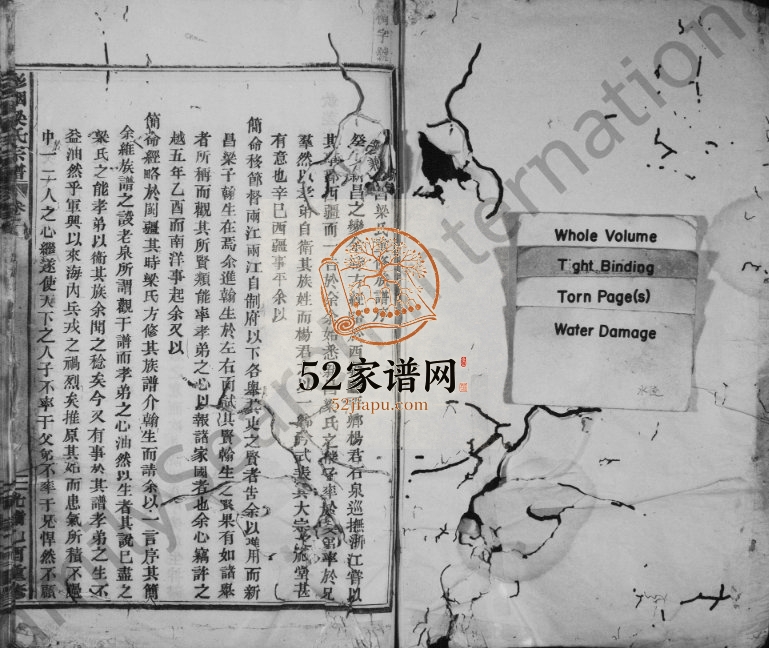 彩烟梁氏宗谱[卷数杂异]1916年修 浙江新昌-临海-天台-寿昌-安徽桐城梁氏电子版家谱下载