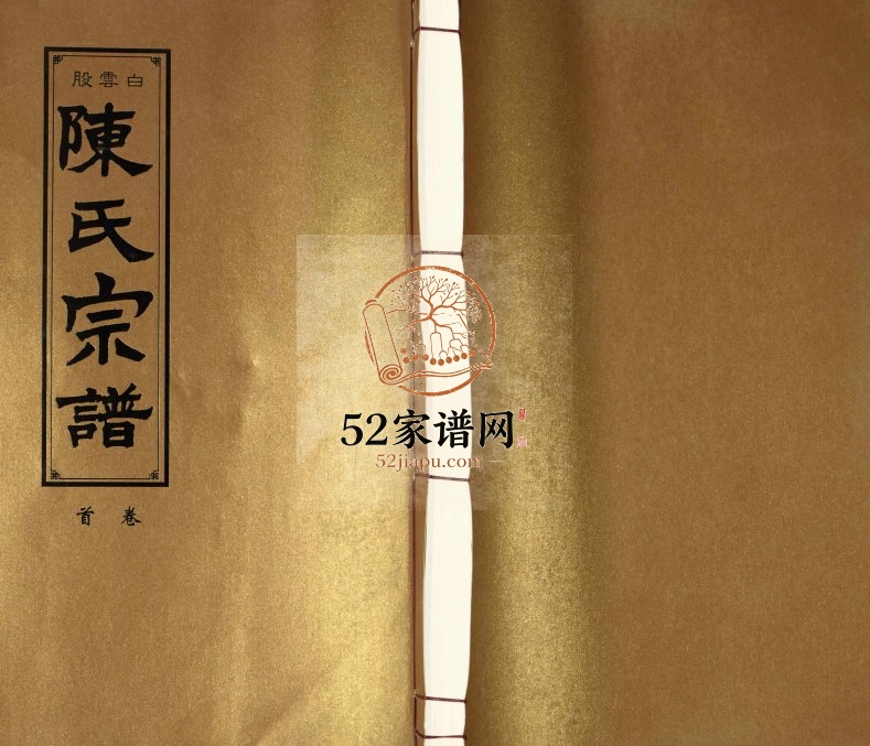 陈氏宗谱2014年修 安徽桐城星聚堂陈氏电子版家谱下载