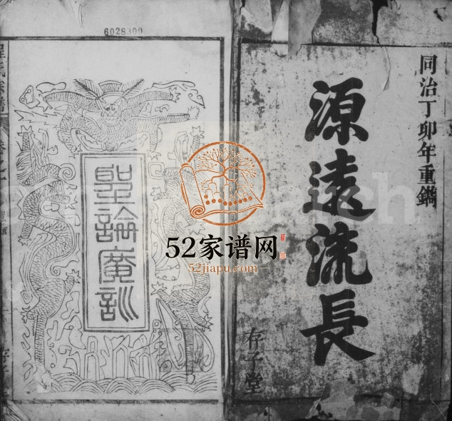 程氏宗谱[14卷]1867年修 安徽桐城存子堂程氏电子版家谱下载