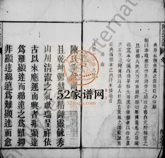 陈氏宗谱[4卷]1868年修 安徽桐城傅义堂陈氏电子版家谱下载