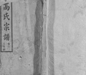 高氏宗谱[24卷首末各1卷]1919年修 安徽桐城庆寿堂高氏电子版家谱下载