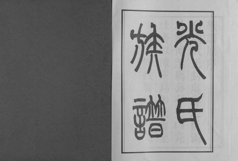 桐城光氏族谱2007年修 安徽桐城光氏电子版家谱下载