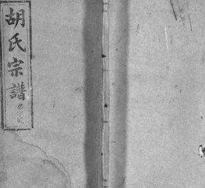 胡氏宗谱[按支分卷]1905年修 安徽桐城-怀宁孝义堂胡氏电子版家谱下载