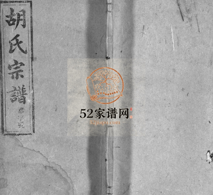 胡氏宗谱[按支分卷]1905年修 安徽桐城-怀宁孝义堂胡氏电子版家谱下载