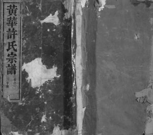 黄华许氏宗谱[16卷]1918年修 安徽桐城许氏电子版家谱下载