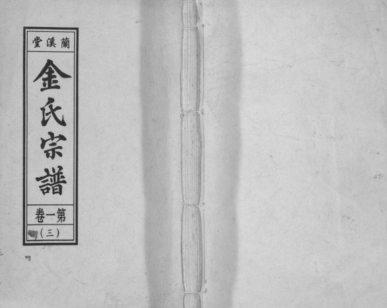 金氏宗谱[18卷]2009年修 安徽桐城兰溪堂金氏电子版家谱下载