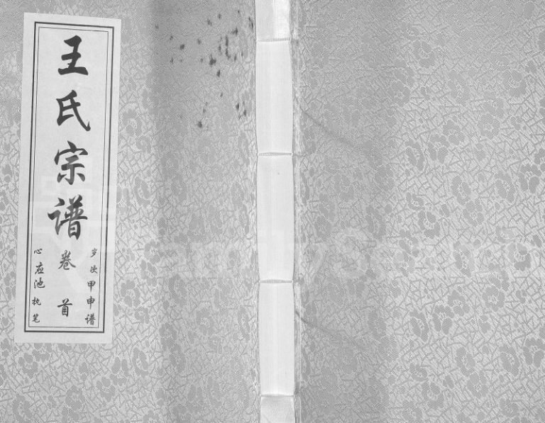 王氏宗谱[11卷首1卷]2013年修 湖北孝感三槐堂王氏电子版家谱下载