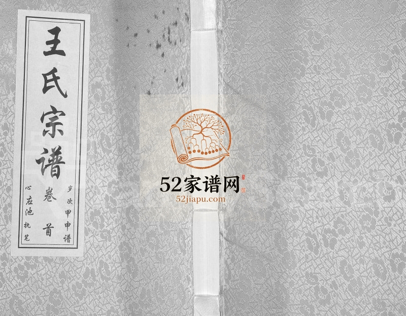 王氏宗谱[11卷首1卷]2013年修 湖北孝感三槐堂王氏电子版家谱下载