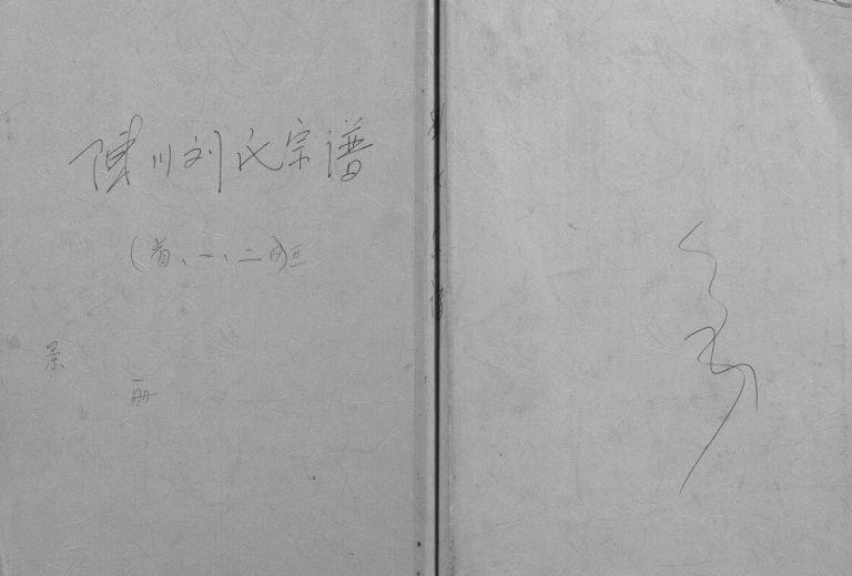 陈洲刘氏宗谱[22卷首1卷]1918年修 安徽桐城刘氏电子版家谱下载
