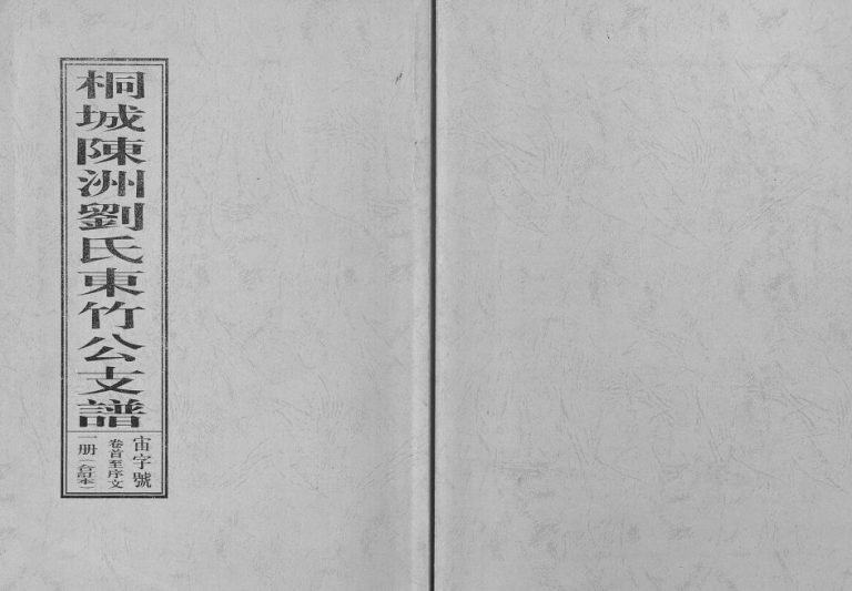桐城陈洲刘氏东竹公支谱[14卷首1卷]1916年修 安徽桐城刘氏电子版家谱下载