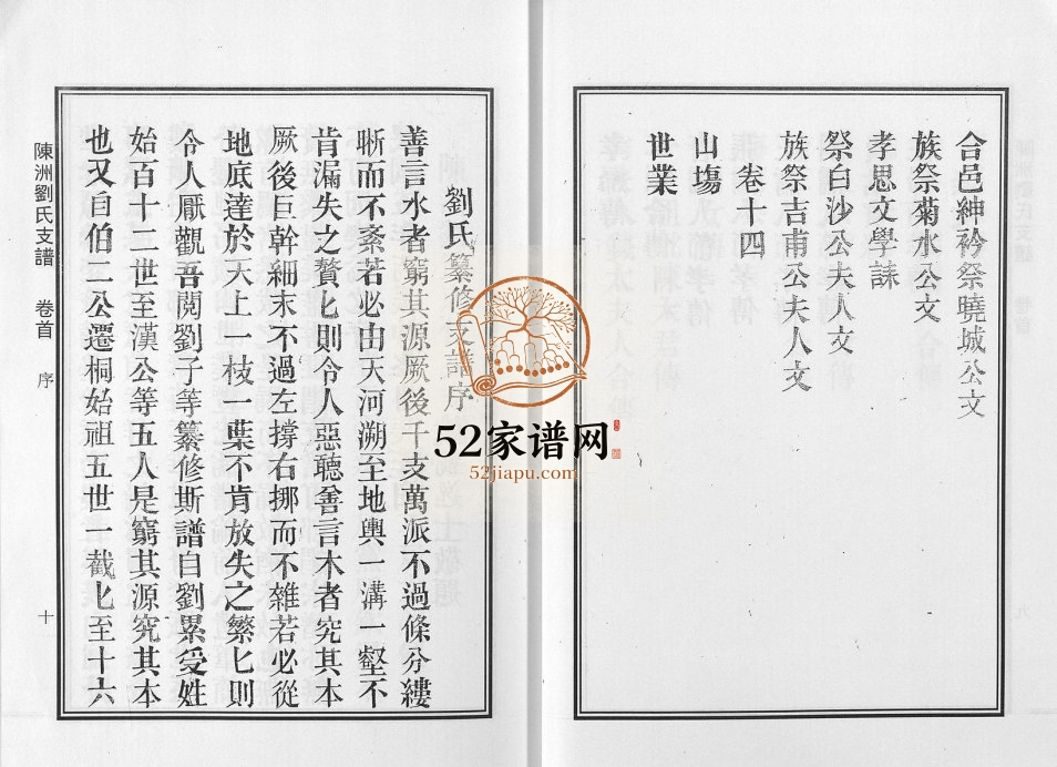 桐城陈洲刘氏东竹公支谱[14卷首1卷]1916年修 安徽桐城刘氏电子版家谱下载