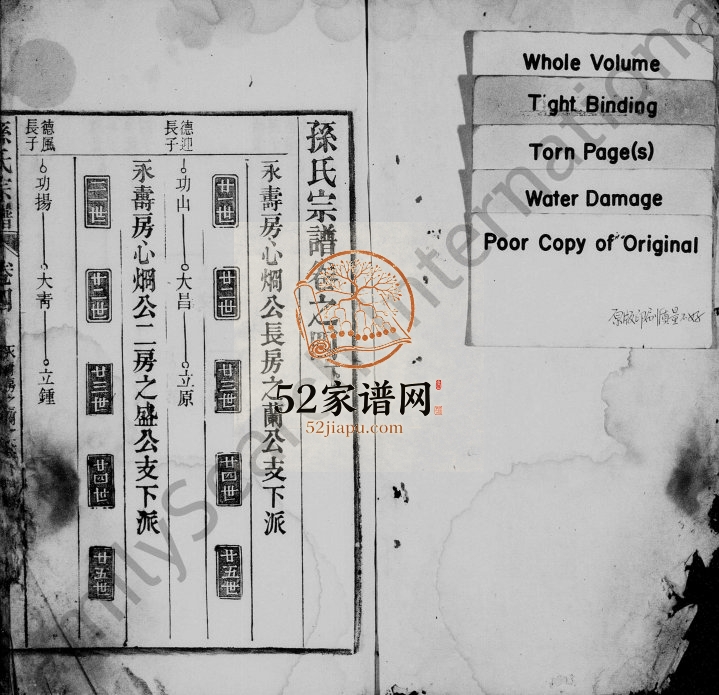 孙氏宗谱1903年修 安徽桐城孙氏电子版家谱下载