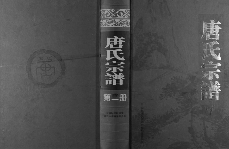 唐氏宗谱2012年修 安徽桐城唐氏电子版家谱下载