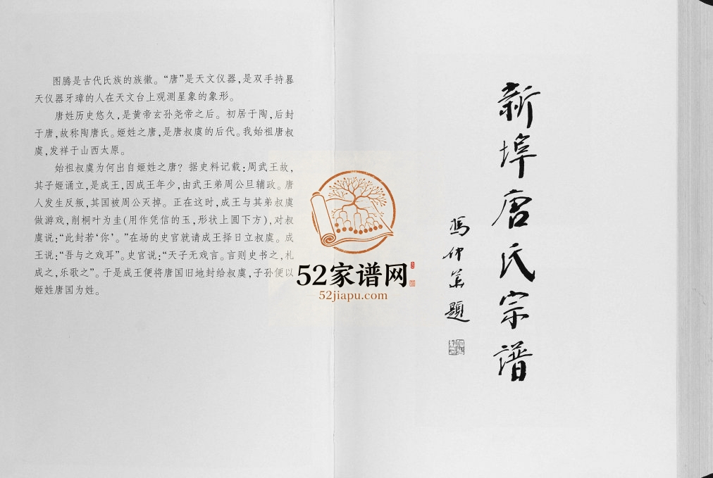 唐氏宗谱2012年修 安徽桐城唐氏电子版家谱下载