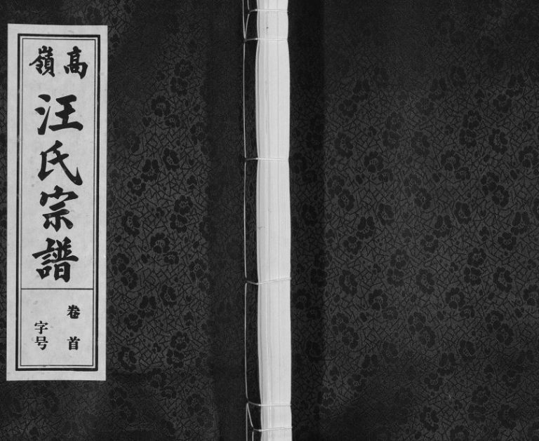 高岭汪氏宗谱2017年修 安徽安庆敦本堂汪氏电子版家谱下载
