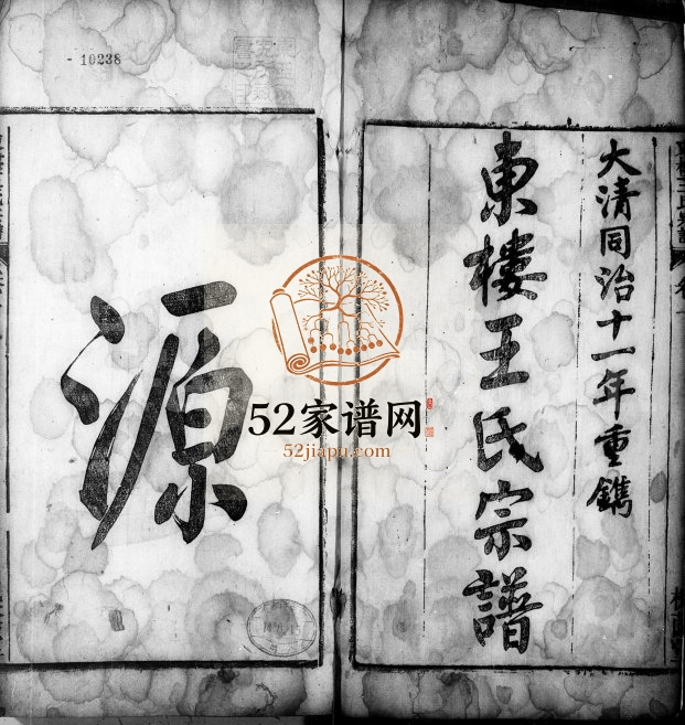 东楼王氏宗谱[19卷,末1卷]1874年修 安徽桐城王氏电子版家谱下载