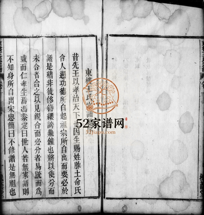 东楼王氏宗谱[19卷,末1卷]1874年修 安徽桐城王氏电子版家谱下载