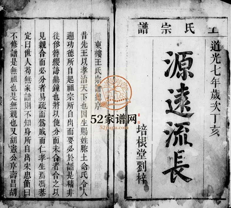 东楼王氏宗谱[9卷]1827年修 安徽桐城槐荫堂王氏电子版家谱下载
