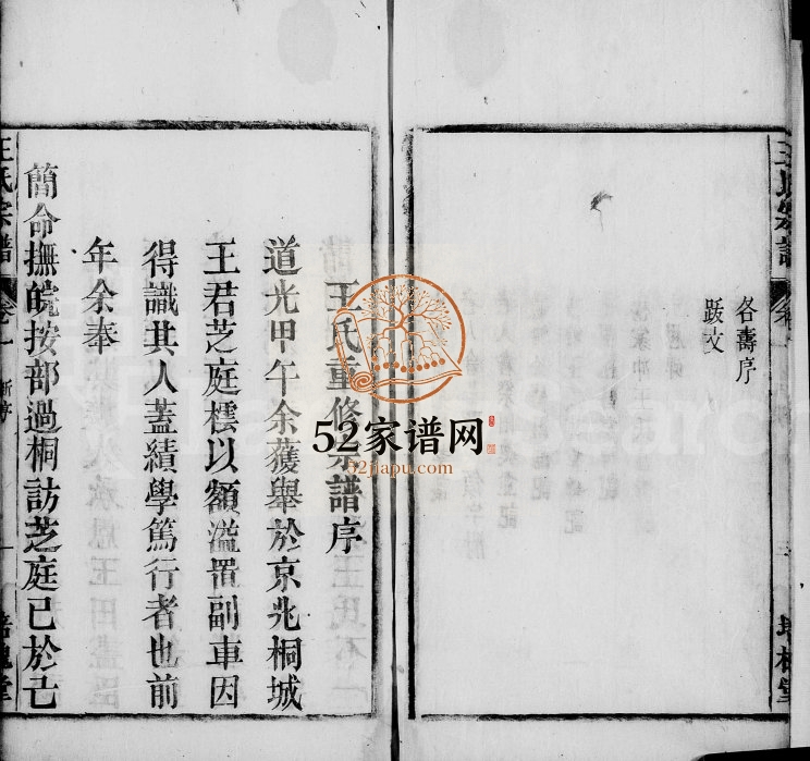 桐城王氏重修宗谱[20卷]1866年修 安徽桐城培槐堂王氏电子版家谱下载