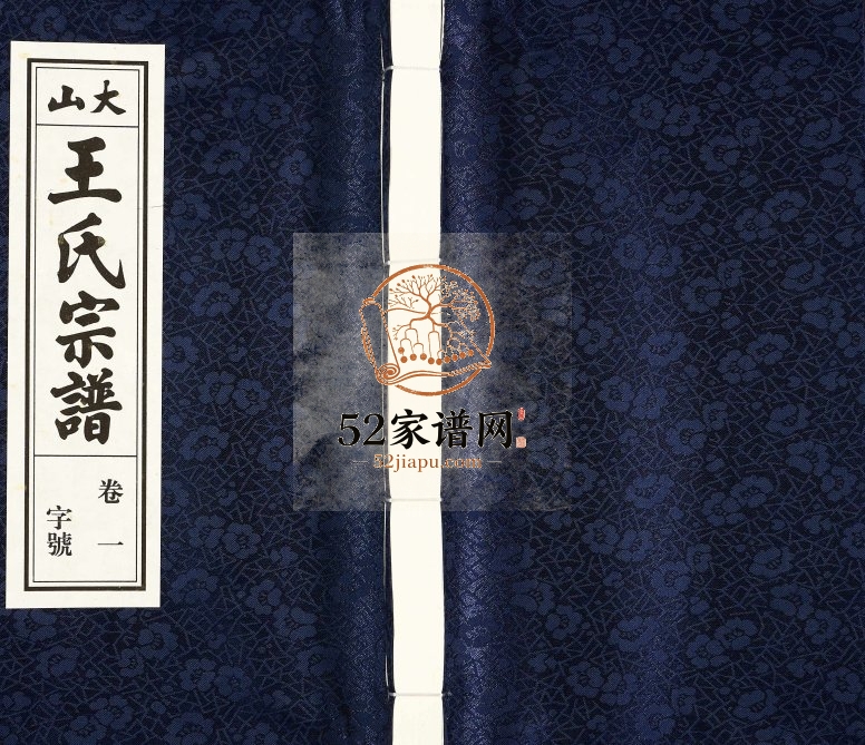 大山王氏宗谱[23卷,末1卷]2017年六修 安徽桐城敦睦堂王氏电子版家谱下载