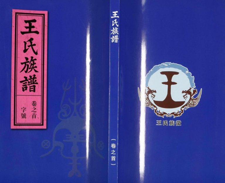 王氏族谱2016年修 安徽桐城-枞阳三槐堂王氏电子版家谱下载