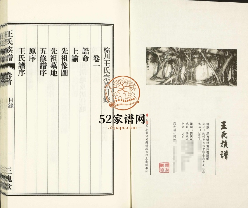 王氏族谱2016年修 安徽桐城-枞阳三槐堂王氏电子版家谱下载