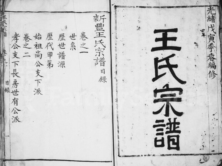 新丰王氏宗谱[4卷]1878年修 安徽桐城王氏电子版家谱下载