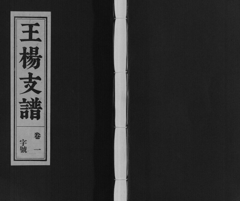 王杨支谱[13卷首末各1卷]2015年修 安徽桐城余庆堂电子版家谱下载